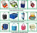 2017customized picnic ice wine bottle disposable insulated lunch cooler bag