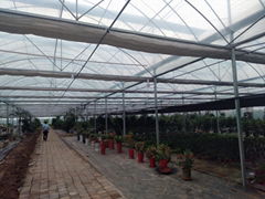 Qingzhou city qifan greenhouse Co