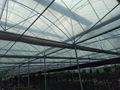 greenhouse  1