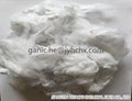 100% recycled polyester staple fiber psf