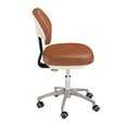 Metal Base Dentist Chair Doctor Stool Assistant for Dental Unit Chair