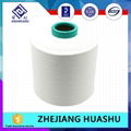 2028  12F Polyester Covering Spandex