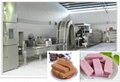 SH-45 Fully Automatic wafer biscuit equipment 5