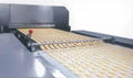 biscuit processing machinery 2