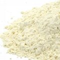Dehydrated bulk garlic powder price 2017 in China