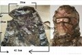3D Sneaky Hunting/face Mask Camo Head Net Mesh Woodland turkey deer MO face 3