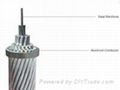 ACSR-Aluminium Conductor Steel Reinforced