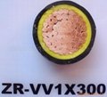 450750V Insulation Shielded and Armoured Control Cable 3