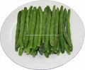 Frozen vegetables IQF Green beans cut whole 2