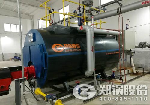 1噸燃氣蒸汽鍋爐 2