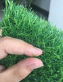 landscape grass 3