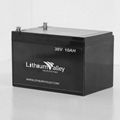 36V 10AH LiFePO4 Battery 5