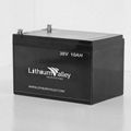36V 10AH LiFePO4 Battery 1