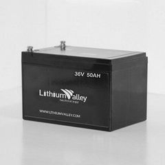 36V 50AH LiFePO4 Battery