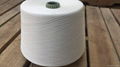 hot selling raw white 100% viscose yarn 4