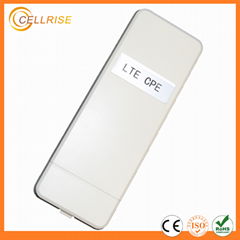 High Quality 300Mbps WiFi Ap Wireless Outdoor LTE CPE