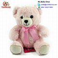 EN71 Certified kids colorful stuffed bear soft teddy bear plush toy 1