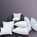 down cushions 1