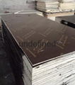 Antislip Film faced plywood 2