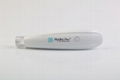 Microneedle hydra Pen 2