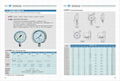 不锈钢耐震压力表 耐震不锈钢压力表 2