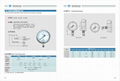 不锈钢膜盒压力表 不锈钢微压表 2