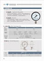 氨壓力表 氨用壓力表 2