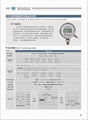 数字电接点压力表 数显电接点压力表 2