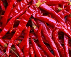 Dried Red Chilli