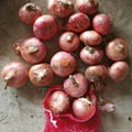 Fresh red & yellow onion from china 2