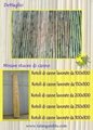 Production & workmanship of reeds in mats cane fance 1