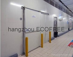 solar container cold room for vegetables meats fruits