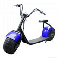 1000W fat tire china electric scooter 5