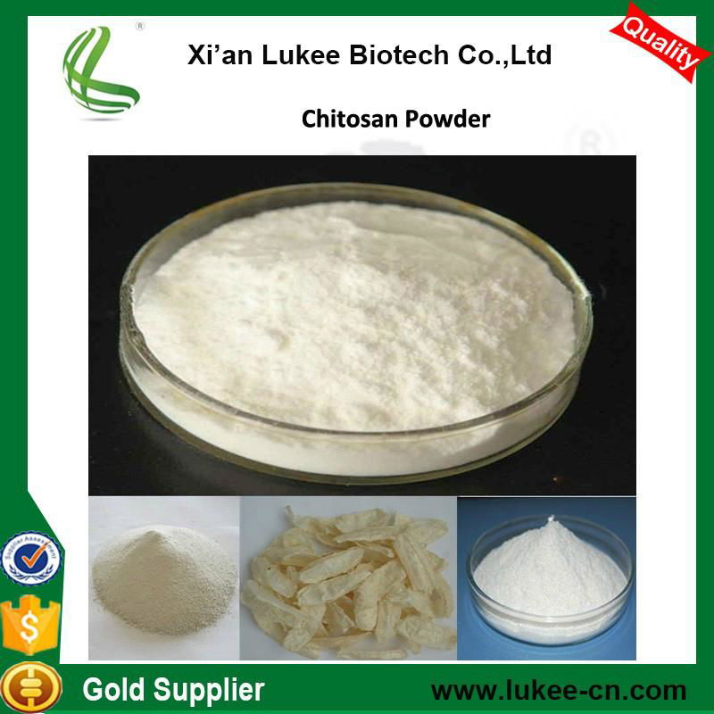 Reliable Supplier Provide Lowest Price Chitosan Powder for Pharmaceutical Grade 4