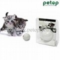 New arrival electronic LED Flash Light Cat Ball Toy 2