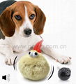 New Plastic PET Vibration Crazy Jumping Ball Toy for Dog & Cat Toys 1