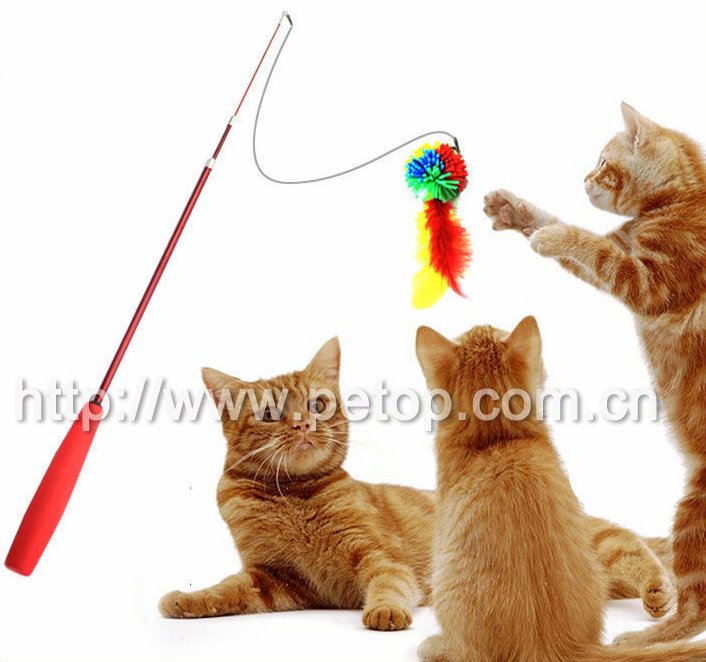 New  Wholesale Lovely Christmas  feather Cat Teaser toy 2