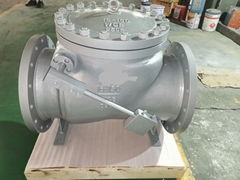 NON SLAM CHECK VALVE