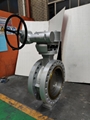 API609 butterfly valve 1