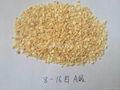 dehydrated garlic granules