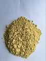 dehydrated ginger powder 1