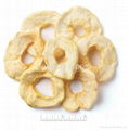 dehydrated apple rings 2