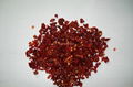 dehydrated red bell pepper 1