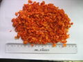 dried carrot  granules