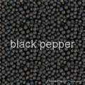 black pepper 1