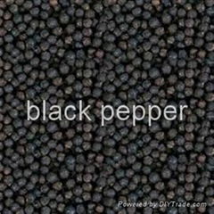 black pepper