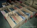 coconut shell/hard wood charcoal