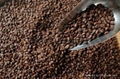 roasted arabica coffee