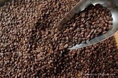 roasted arabica coffee