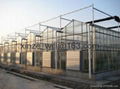 glass greenhouse for sale 2